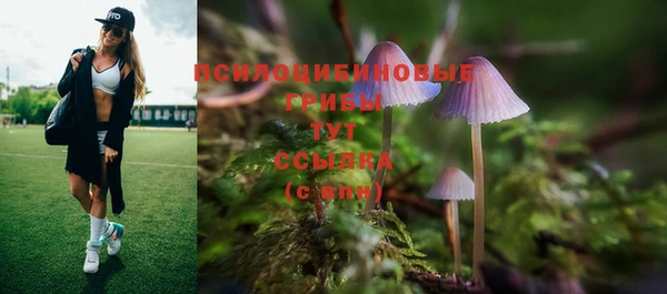 гидра Армянск