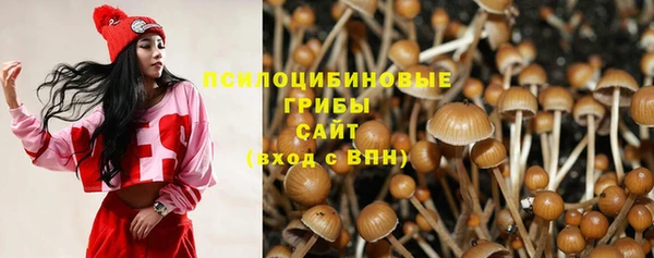 гидра Армянск