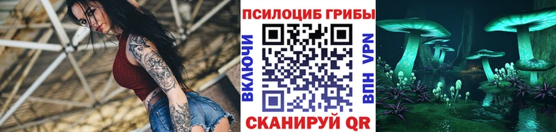 купить   Полярные Зори  Псилоцибиновые грибы мухоморы 