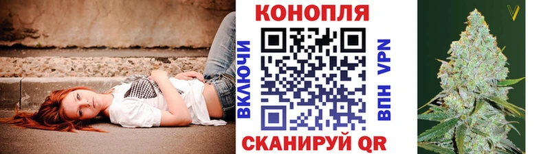 хочу   Полярные Зори  гидра ТОР  мориарти формула  МАРИХУАНА тримм 